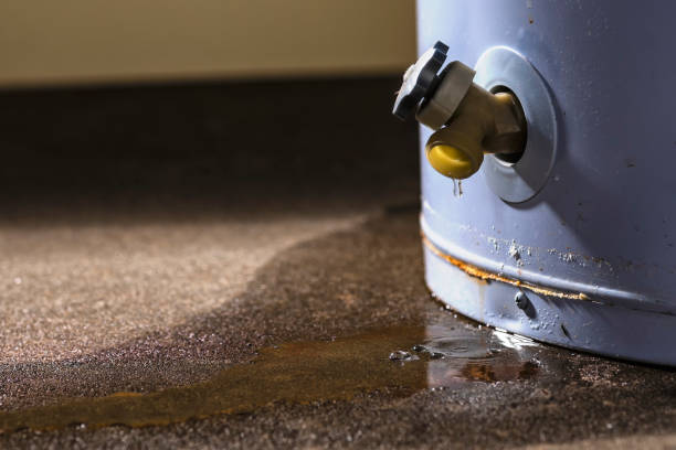  Opa Locka, FL Water damage restoration Pros