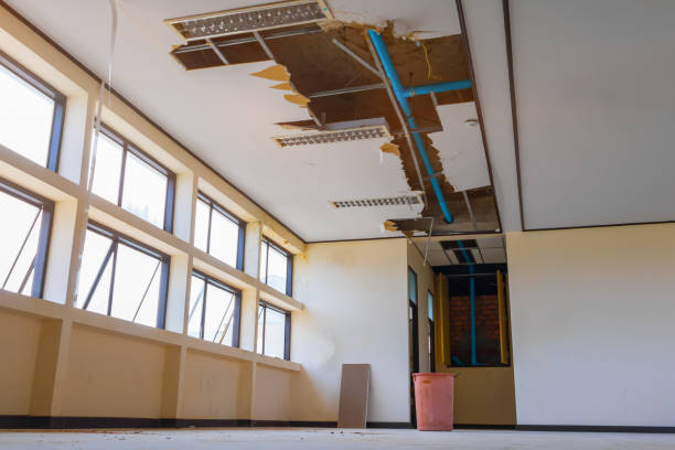 Best Water damage cleanup near me  in Opa Locka, FL