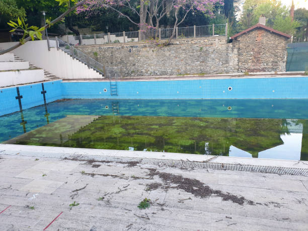 Best Flood damage cleanup  in Opa Locka, FL