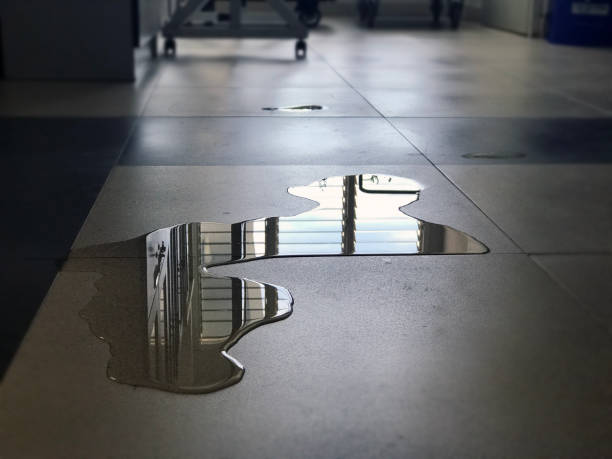 Best 24/7 water damage repair  in Opa Locka, FL