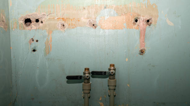 Professional Water damage restoration in Opa Locka, FL