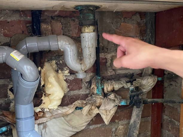 Best Carpet water damage restoration  in Opa Locka, FL